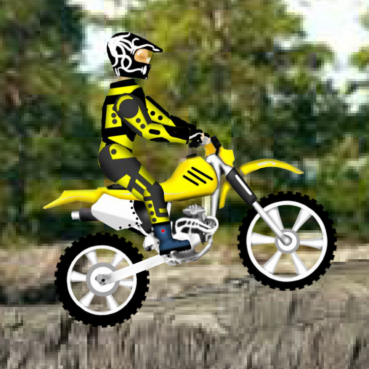 Play Dirt Bike 2 at